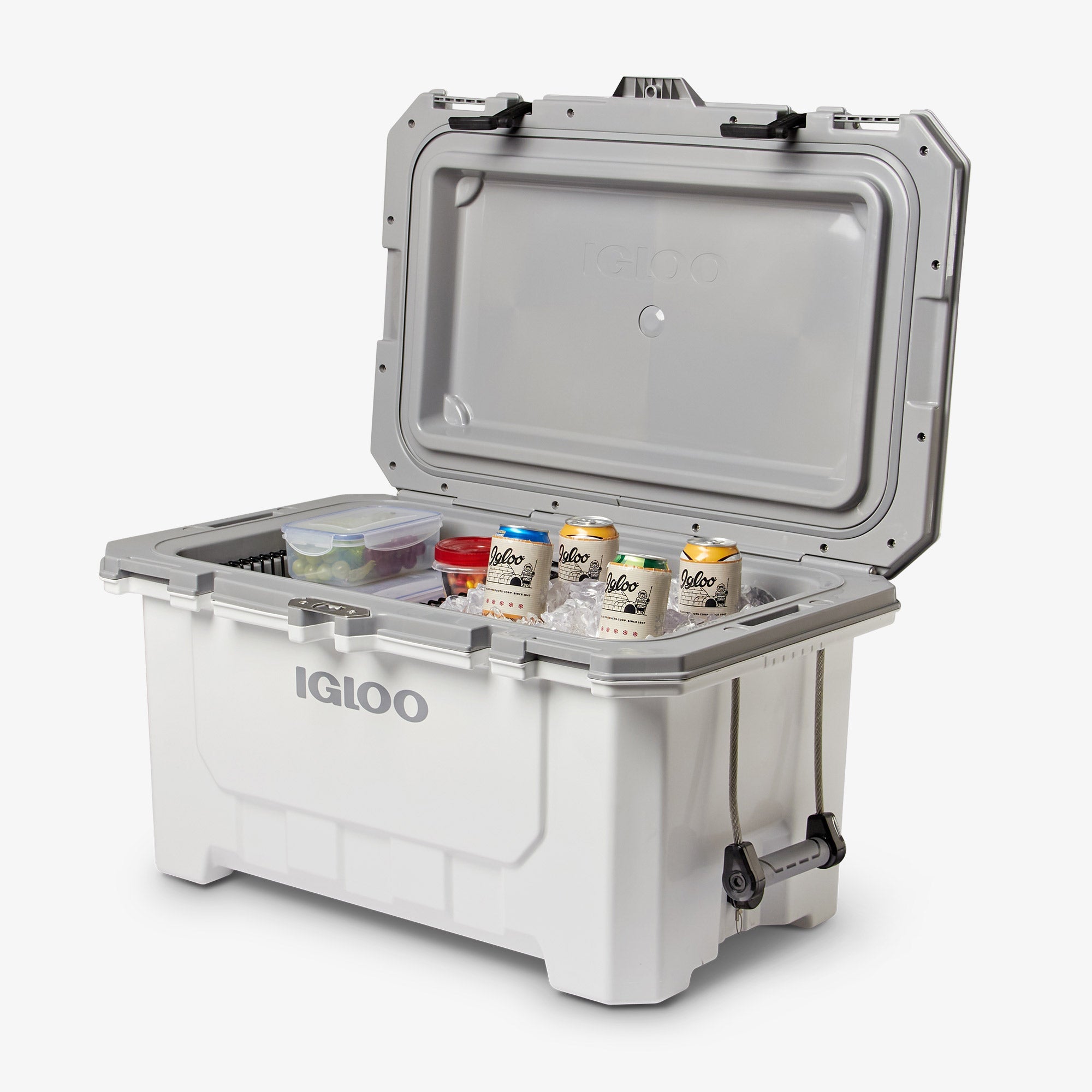 IMX 70 Qt Cooler M3 - White - Product View